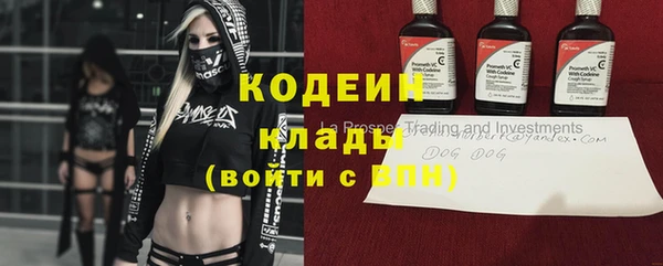 винт Абаза