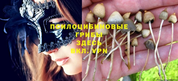 винт Абаза