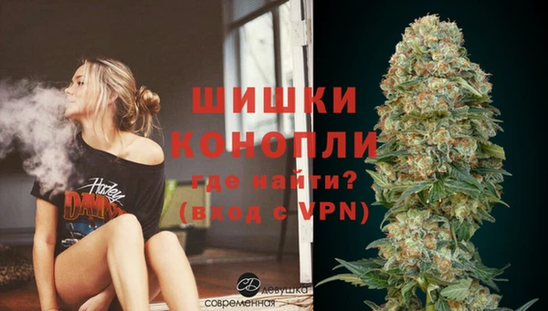 винт Абаза
