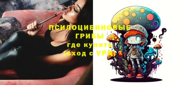 хмурый Абинск