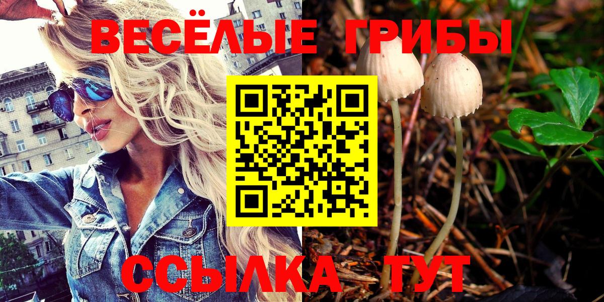 Галлюциногенные грибы Magic Shrooms  Вход с VPN  Советск 