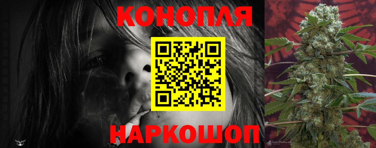 Каннабис семена  Бошки Шишки Amnesia  Вход с VPN  Советск 